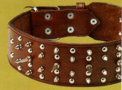 Top Dog Spiked Leather Collar  1" Width