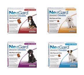 NexGard KG Chewables for Dogs 1 Chew