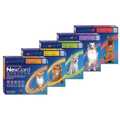 NexGard Spectra Chewables for Dogs 1 Chew